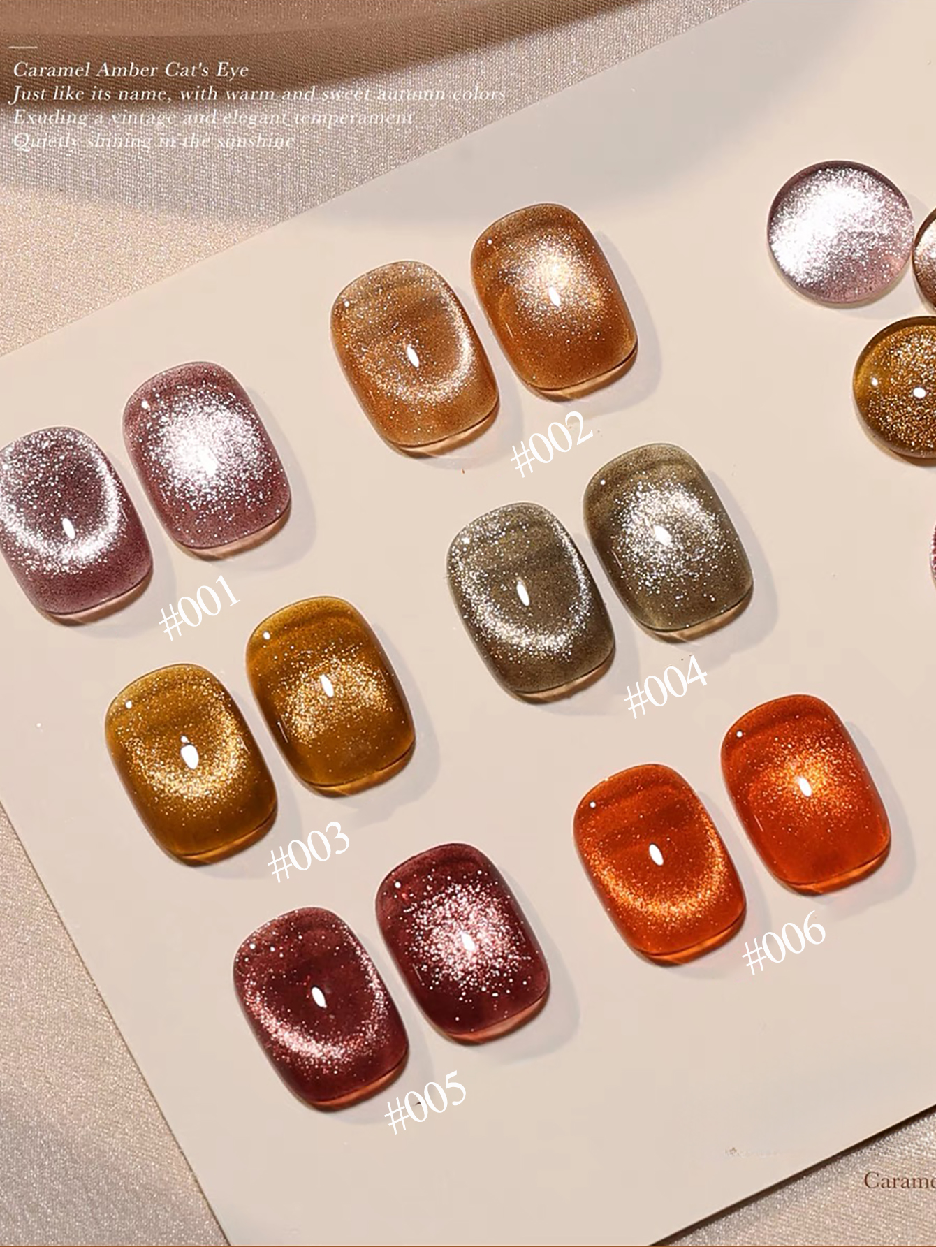 SHAKA 1-6pcs Popular Maillard  - Nail Art Orange 评论和价格
